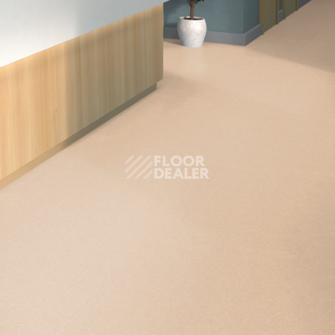 Tarkett iq Melodia 2645 фото 2 | FLOORDEALER